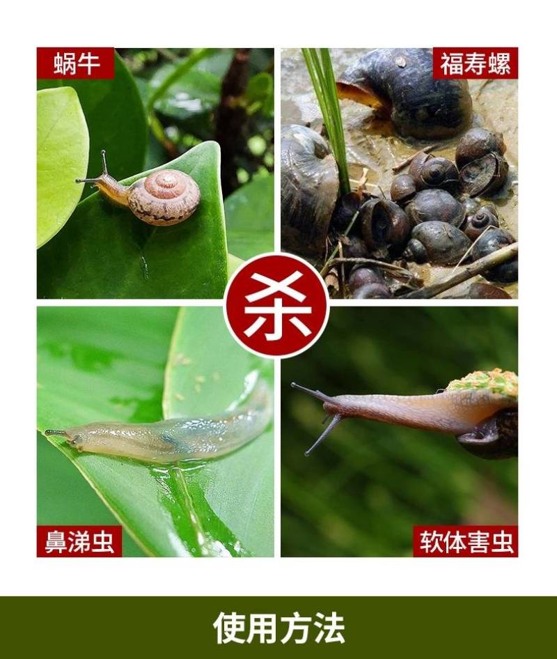 四聚乙醛蜗牛药鼻涕虫杀虫剂农用蛞蝓螺丝杀蜗牛专用药颗粒剂