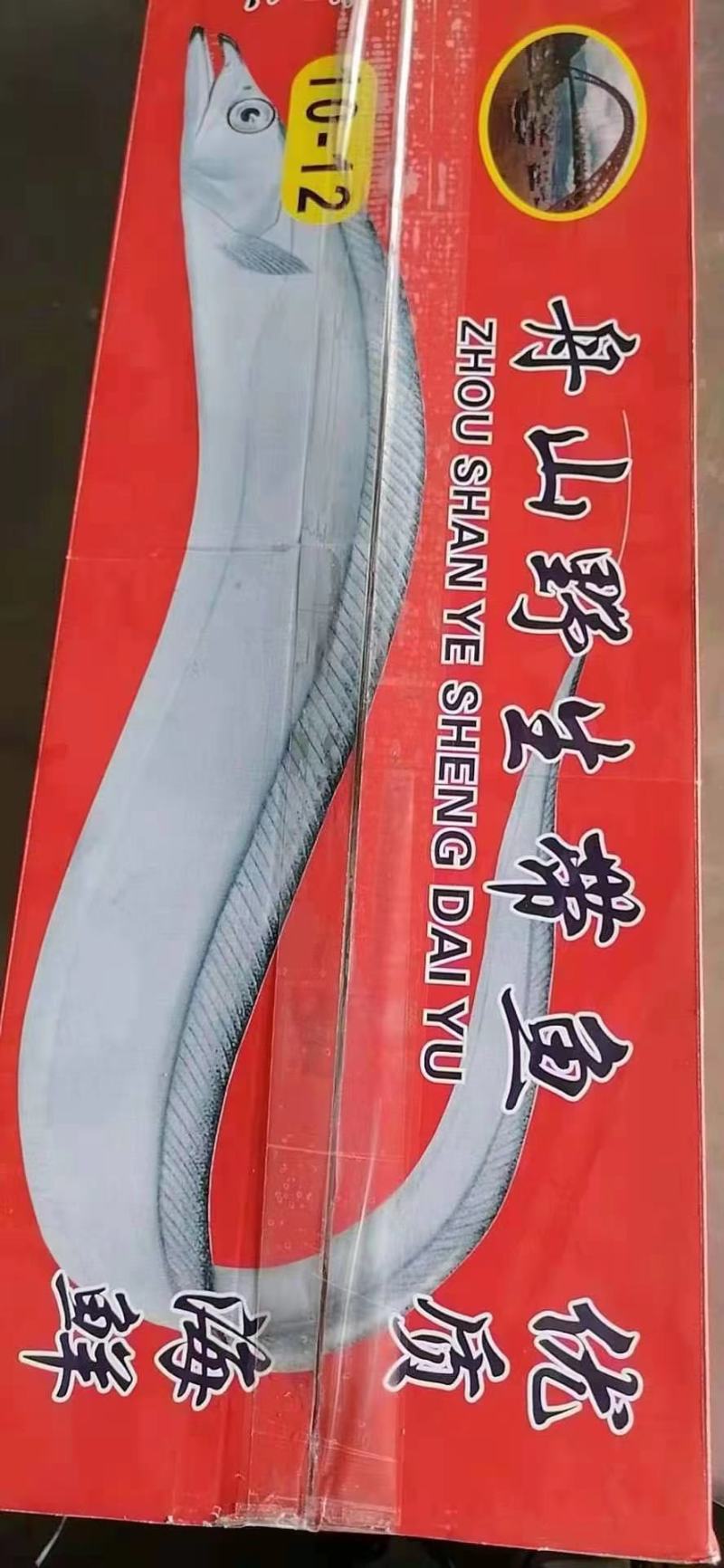 舟山带鱼冷冻带鱼精品礼盒厂家直发无中间商供应电商市场