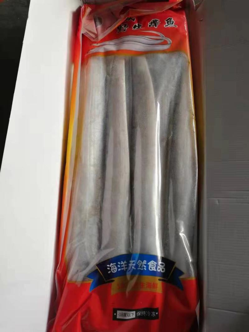 精品带鱼，皮色好，肉厚，舟山带鱼，质量保证！