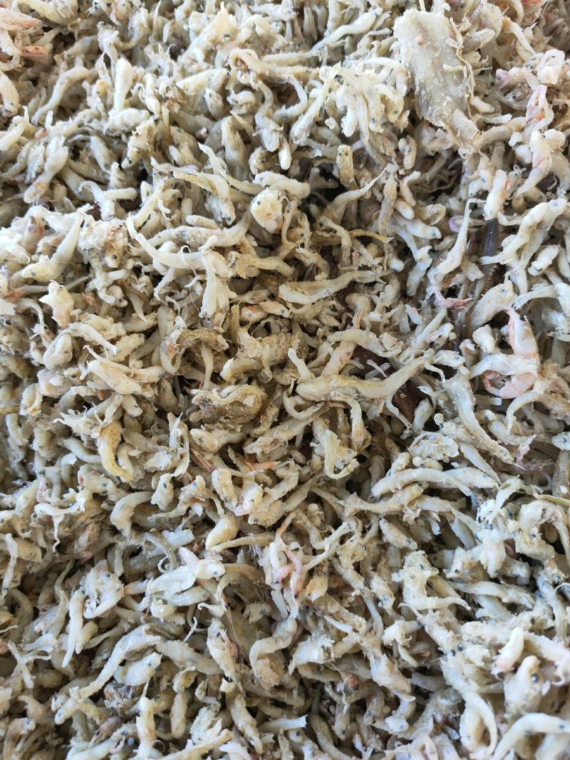 喂虾，喂螃蟹饲料鱼大量现货