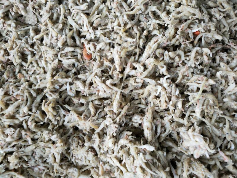 喂虾，喂螃蟹饲料鱼大量现货