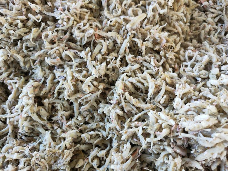 喂虾，喂螃蟹饲料鱼大量现货