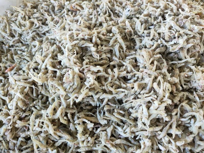 喂虾，喂螃蟹饲料鱼大量现货