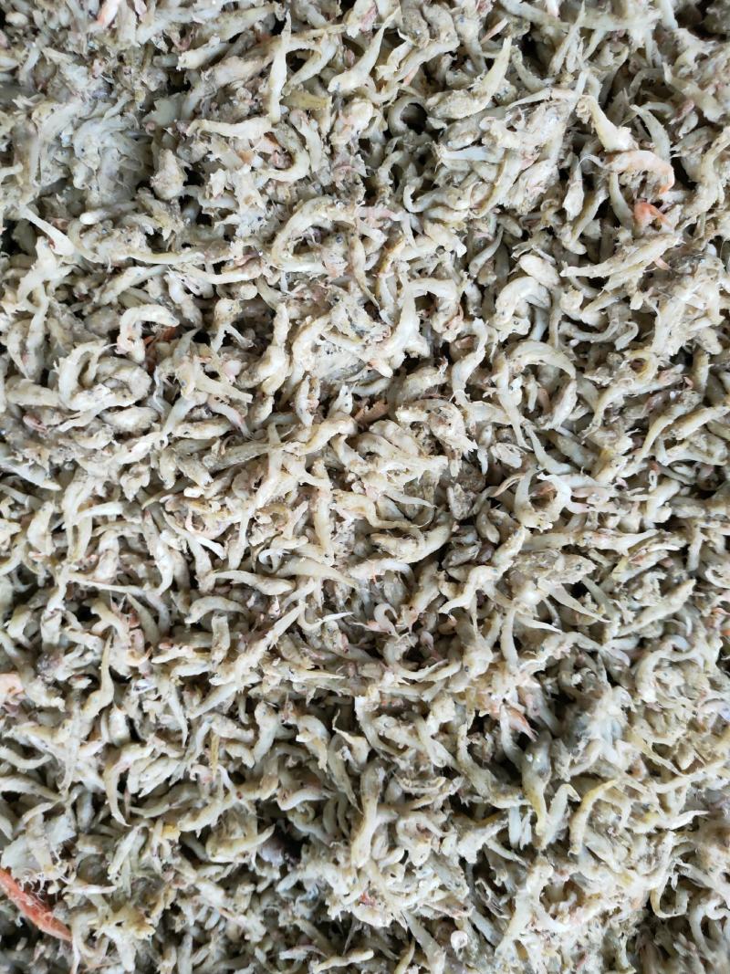 喂虾，喂螃蟹饲料鱼大量现货