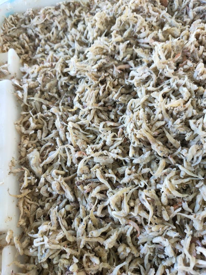 喂虾，喂螃蟹饲料鱼大量现货