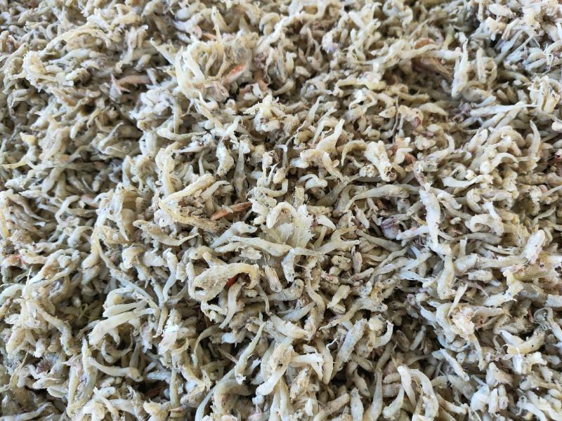 喂虾，喂螃蟹饲料鱼大量现货
