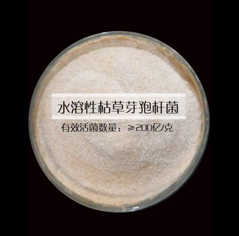 哈茨木霉菌，枯草芽孢杆菌，地衣芽孢杆菌，EM菌