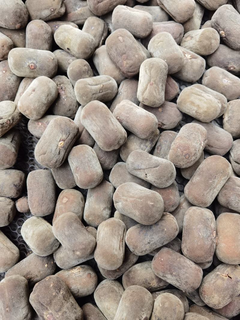 正毛化州橘红正毛化橘红压果质量保证包邮