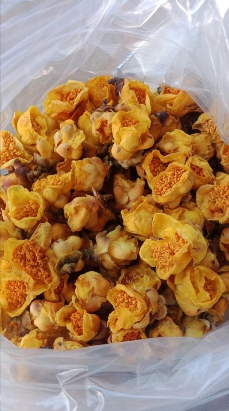 防普金花茶烘干花。防城港产地自销。150元一斤，2斤起走