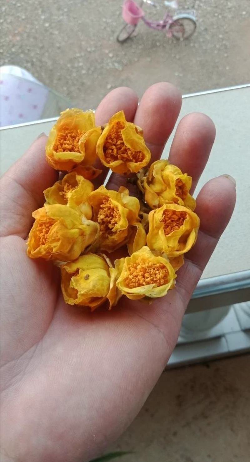 防普金花茶烘干花。防城港产地自销。150元一斤，2斤起走