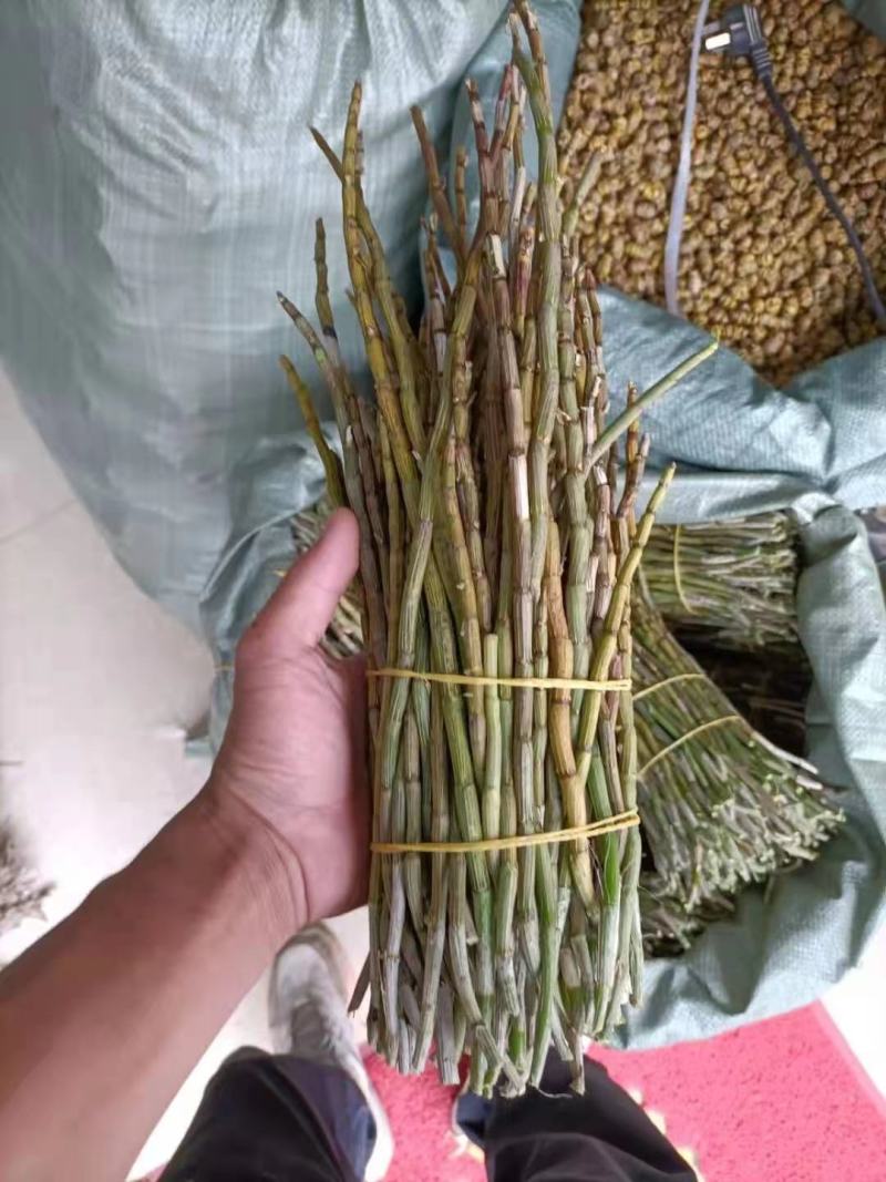 红杆中粗条15-50规格