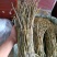 红杆中粗条15-50规格