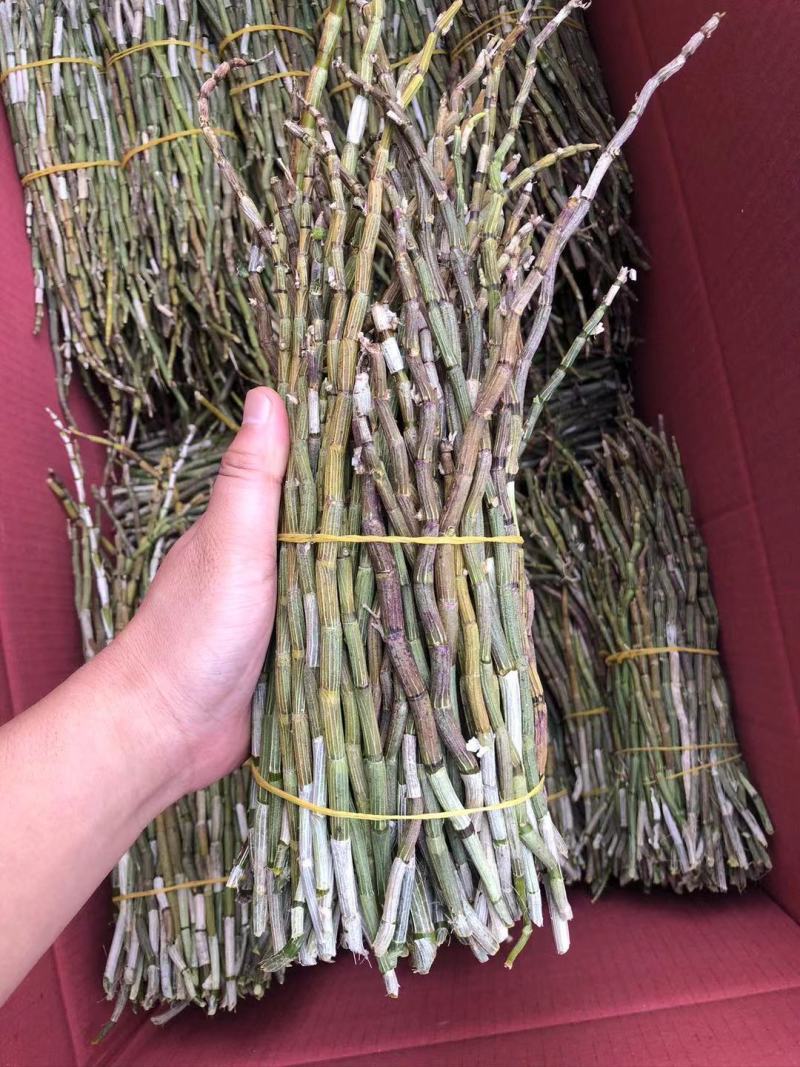 红杆中粗条15-50规格