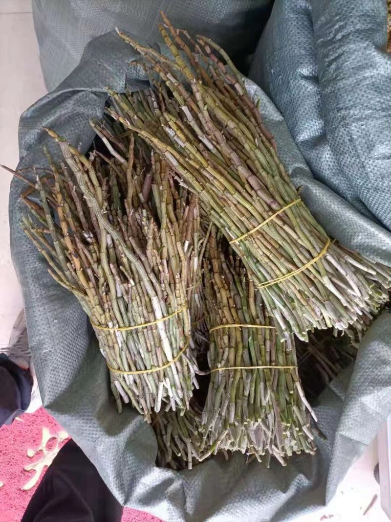 红杆中粗条15-50规格