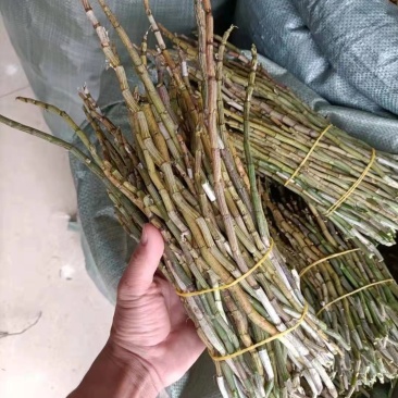 红杆中粗条15-50规格