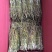 红杆中粗条15-50规格