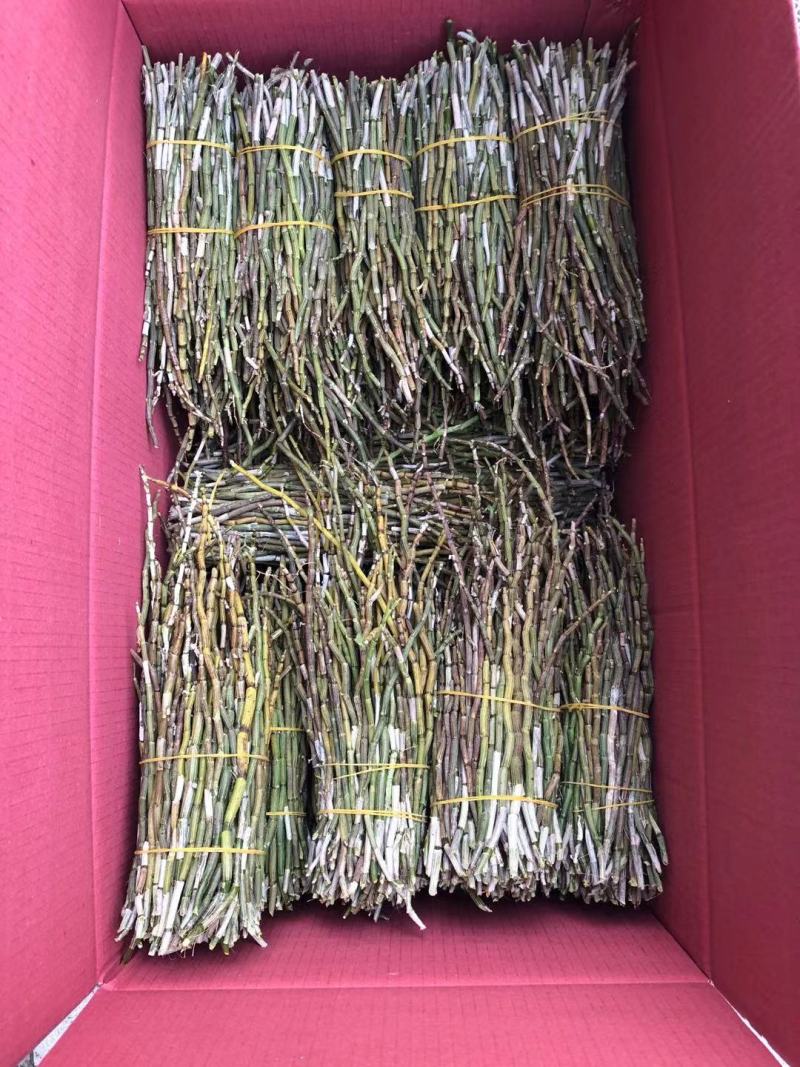 红杆中粗条15-50规格