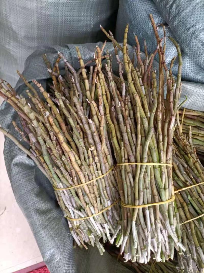 红杆中粗条15-50规格