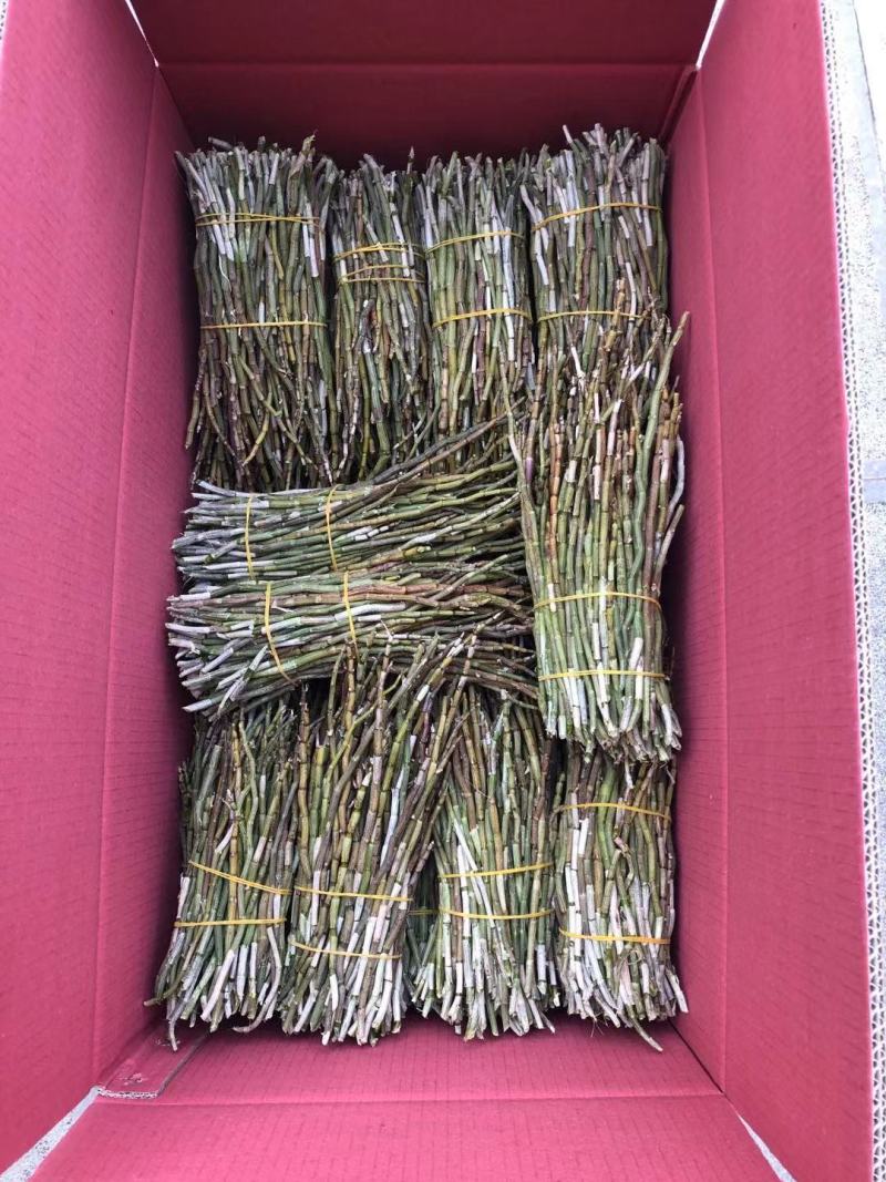 红杆中粗条15-50规格
