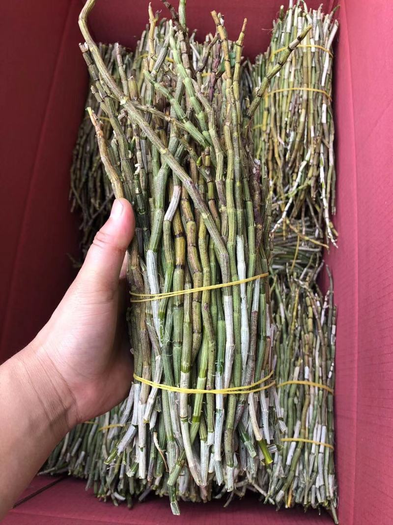 红杆中粗条15-50规格