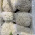松花大量精品上市