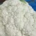 松花大量精品上市