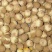 散装金山葵种子皇后葵果实可食庭院观赏树紫金鼠菩提文玩菩提