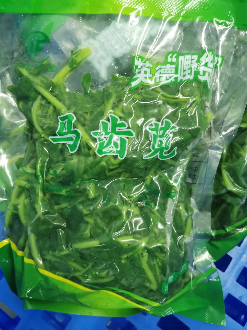 马齿苋