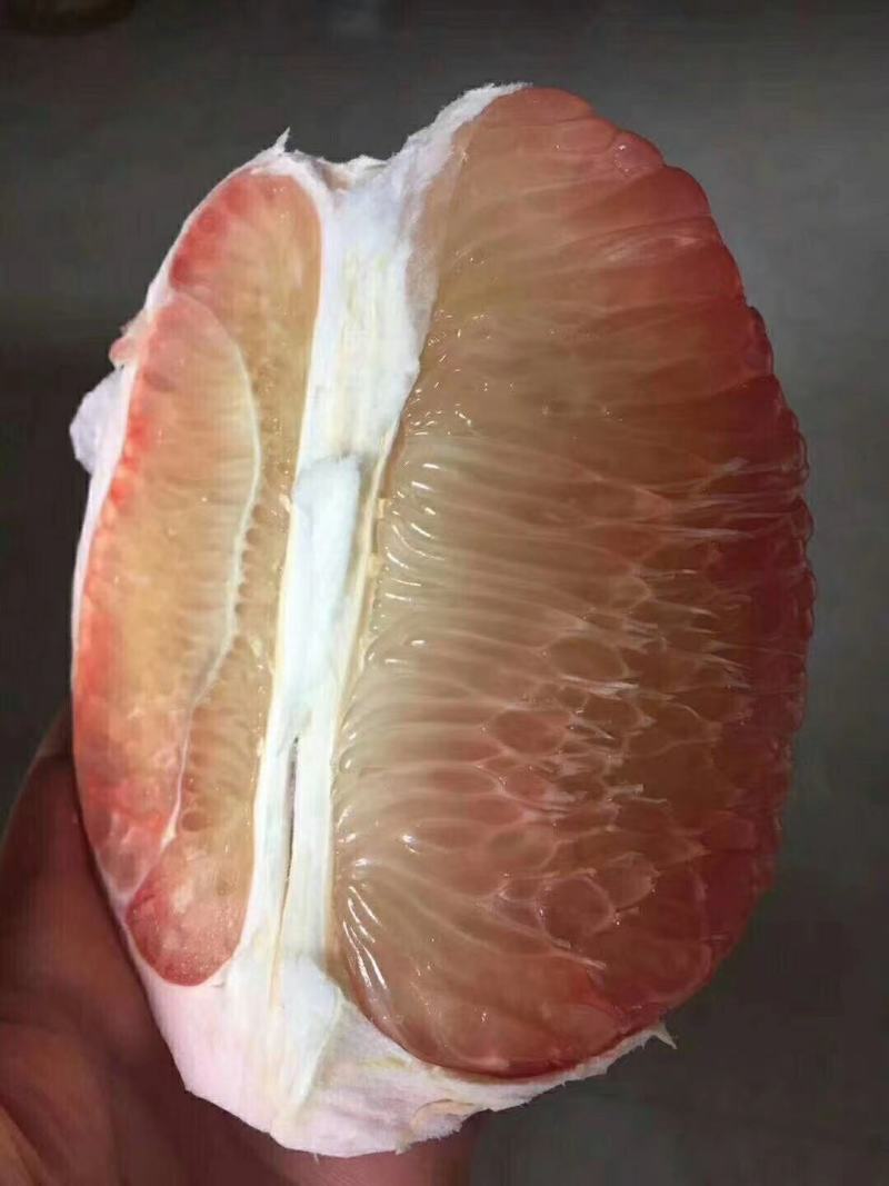 泰国青皮红心柚昆明直发一件代发支持社区团购包邮到家招代理