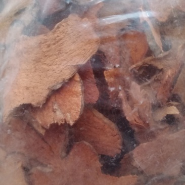 金刚刺，常年批发供应冷背中药材金刚刺，量大从优