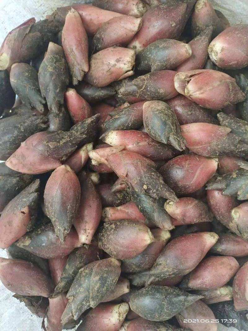 洋荷大减价