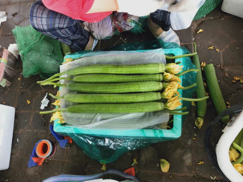 鲜花丝瓜