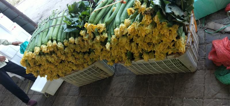 鲜花丝瓜