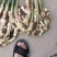 优质红芽姜鲜姜大量供应水洗代发货质量好价格低可以物流发货