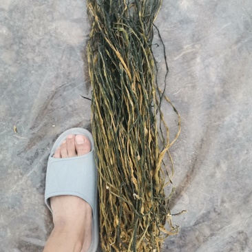找零售批发商。
