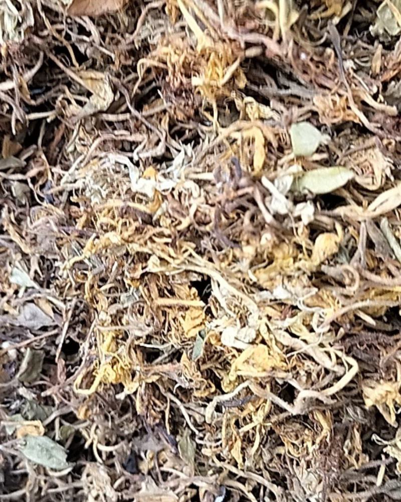 纯野生带毛甘甜金银花香味浓无硫产地直供