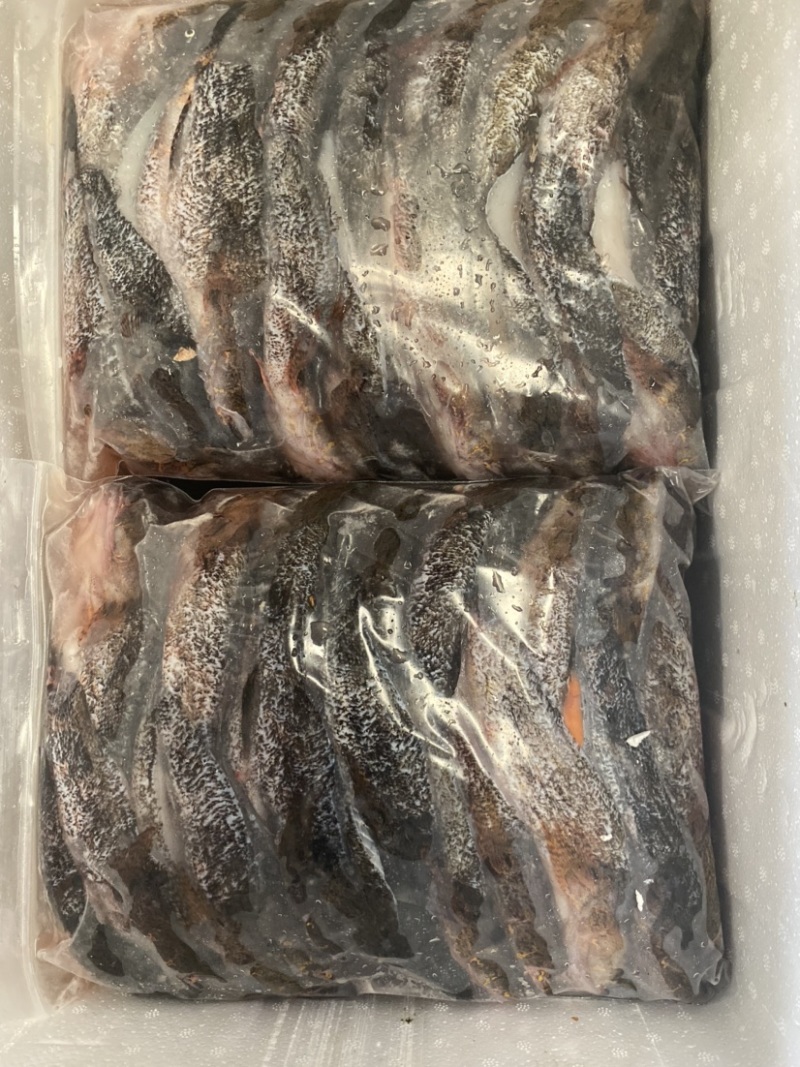 笋壳鱼，加工宰杀腌制入味，半成品批发