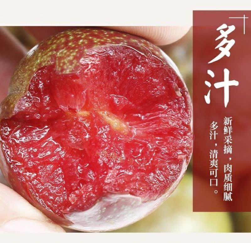 福建古田芙蓉李子核心产区现摘现发支持商超团购一件代发李子