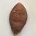 陈皮