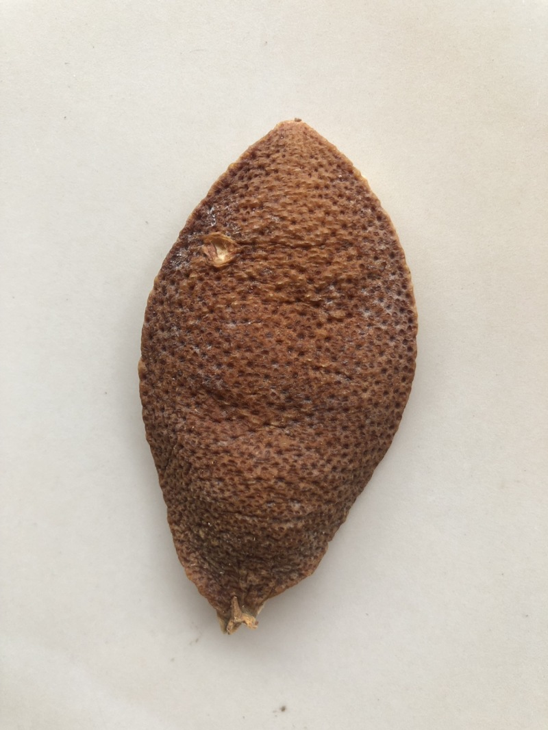 陈皮