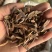 中药材皂角刺，皂刺500克，代加工超细粉