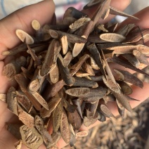 中药材皂角刺，皂刺500克，代加工超细粉