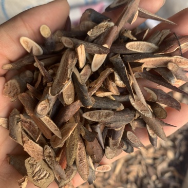 中药材皂角刺，皂刺500克，代加工超细粉