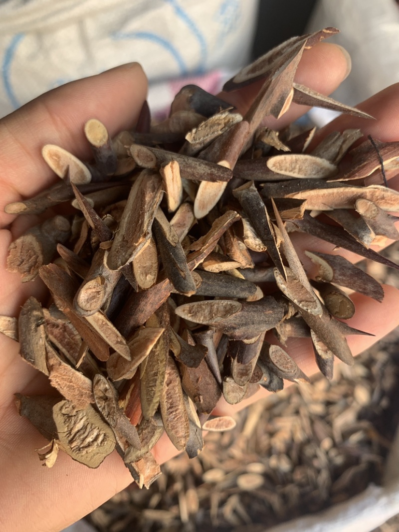 中药材皂角刺，皂刺500克，代加工超细粉