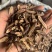 中药材皂角刺，皂刺500克，代加工超细粉