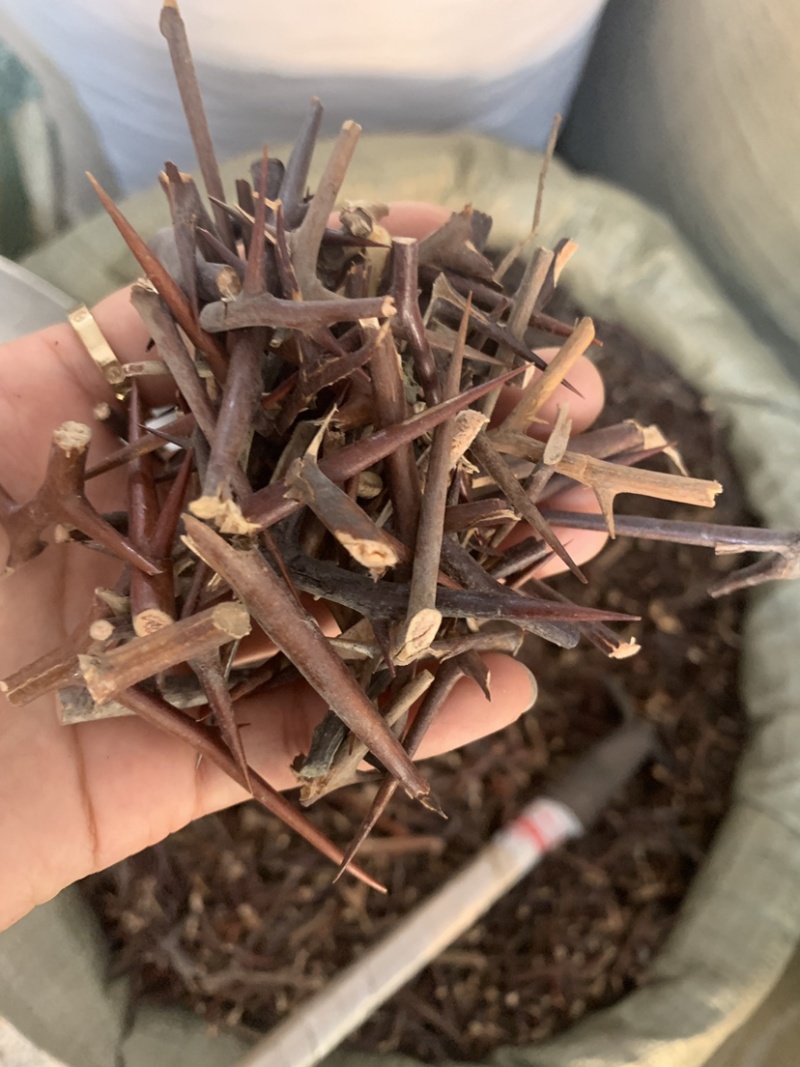 中药材皂角刺，皂刺500克，代加工超细粉