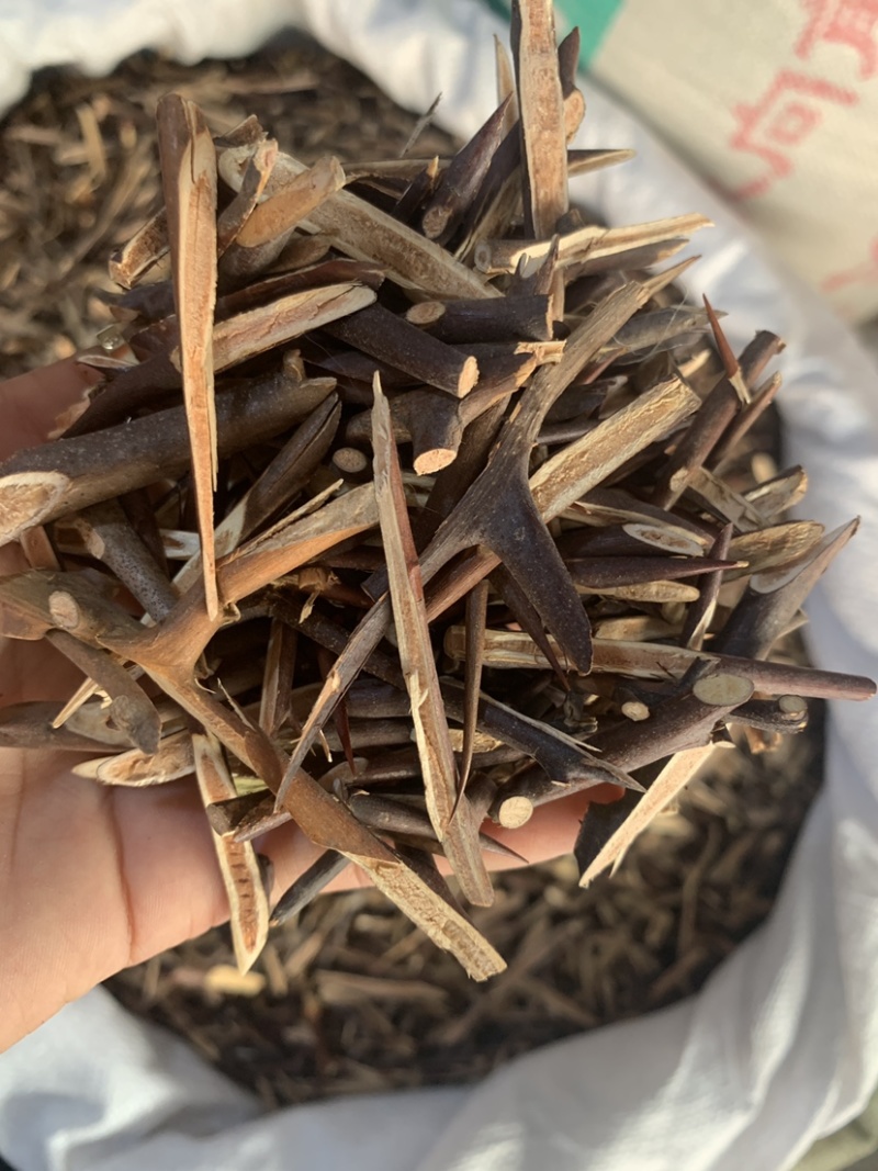 中药材皂角刺，皂刺500克，代加工超细粉