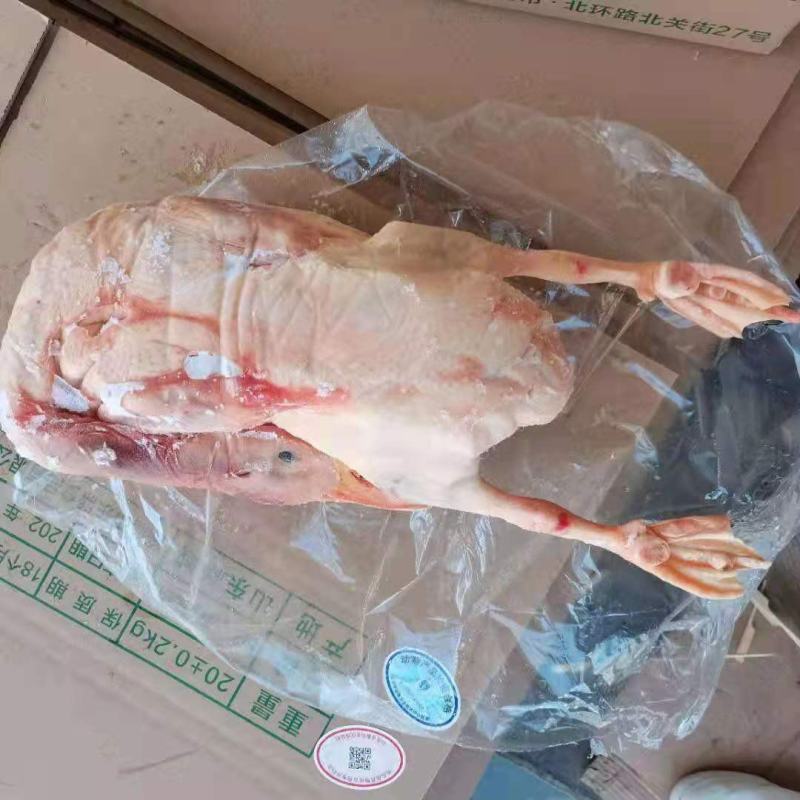 裕邦老鸭