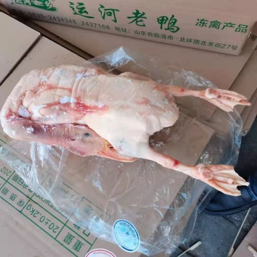裕邦老鸭