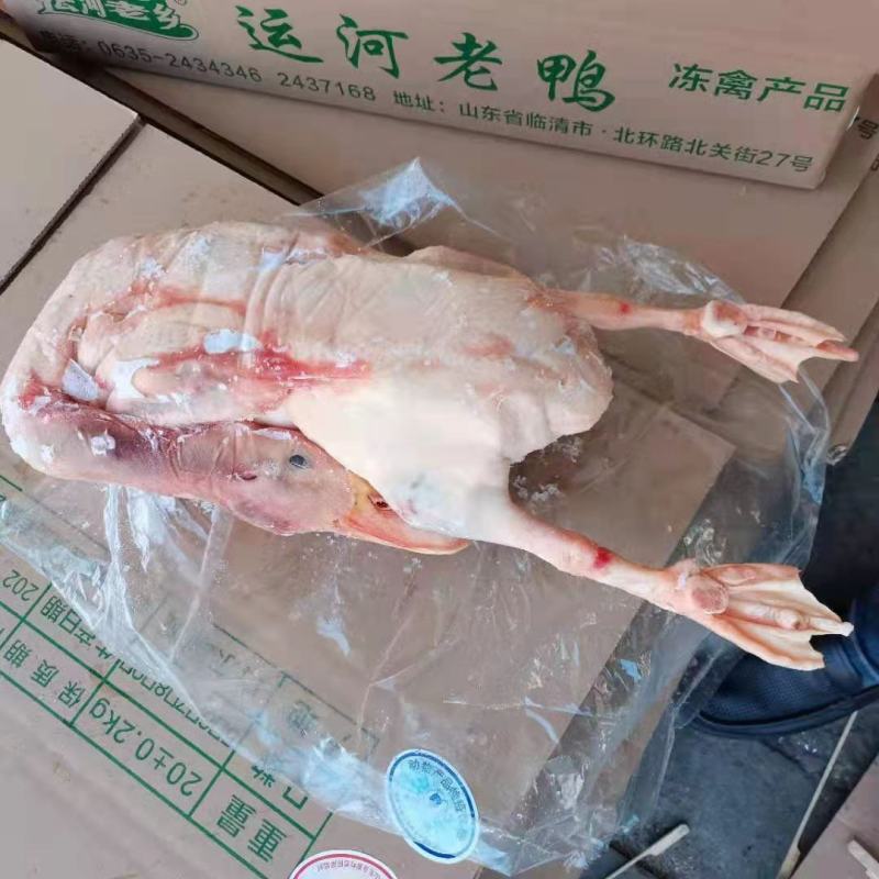 裕邦老鸭